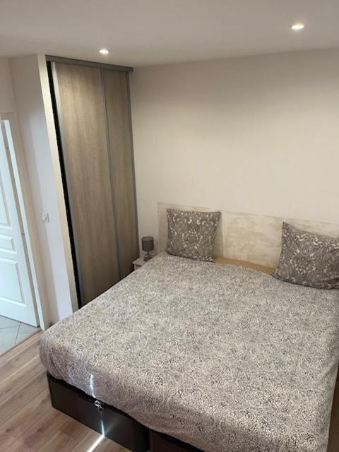 Appartement Oasis Proche De Lyon Groupama Lcdl 메이쥬 외부 사진